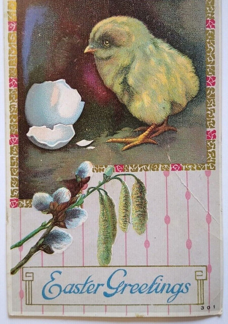 Easter Greetings Postcard Baby Chick Cracked Egg HIR Vintage Original Series 301