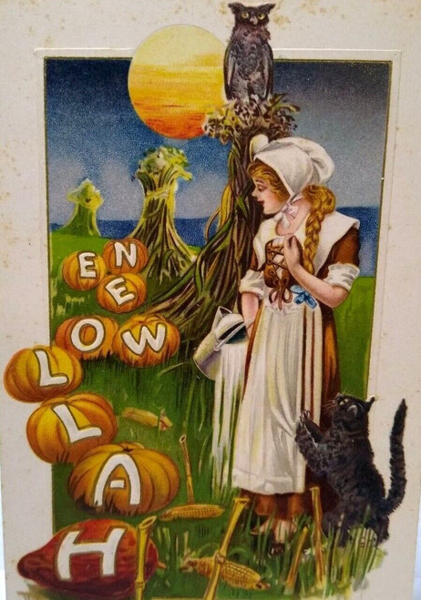 Halloween Postcard Owl Black Cat Farm Samuel Schmucker Fantasy John Winsch 1913