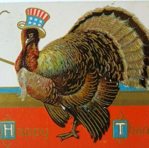 Thanksgiving Postcard Uncle Sam Dressed Turkey Hat Taggart 1909 E Liverpool 609