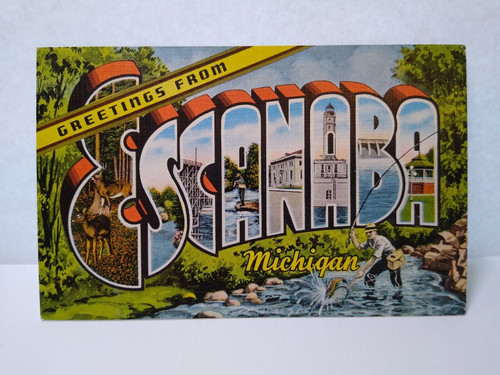 Greetings From Escanaba Michigan Large Big Letter City Postcard Linen Fisherman