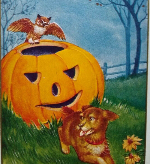 Antique Halloween Postcard Whitney Puppy Dog Owl JOL Embossed Unposted Scarce