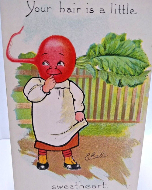 Fantasy Postcard Tuck E Curtis Radish Head Anthropomorphic Garden Patch Series 2