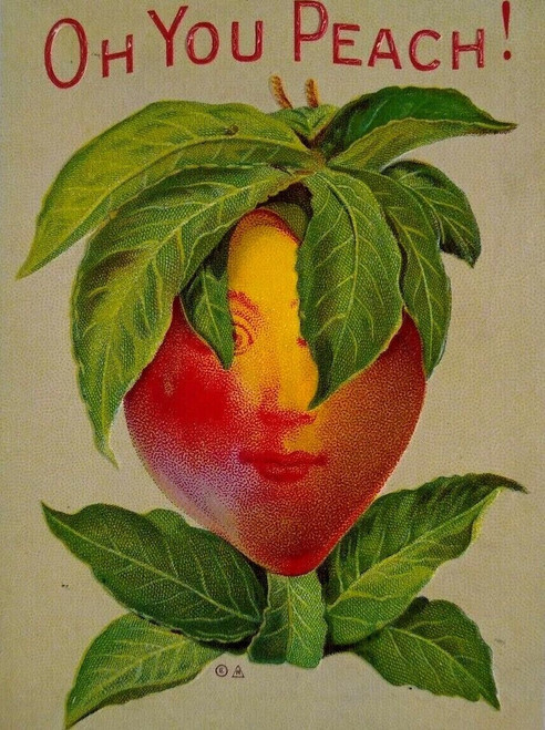 Halloween Postcard Fantasy Anthropomorphic Dressed Peach Head Oh You Nash 1910