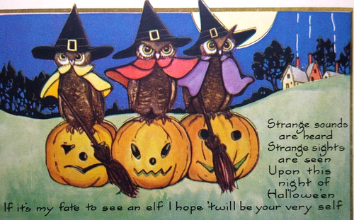 Halloween Postcard 3 Owls Dressed As Witches With Brooms Fantasy Whitney Unused