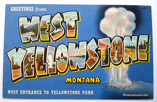 Greetings From West Yellowstone Park Montana Postcard Large Letter Curt Teich