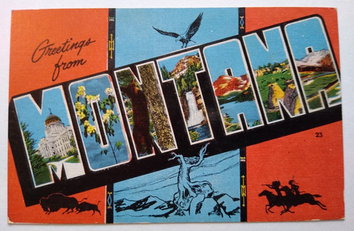 Greetings From Montana Postcard Large Letter Kropp Eagle Buffalo Horses Unused