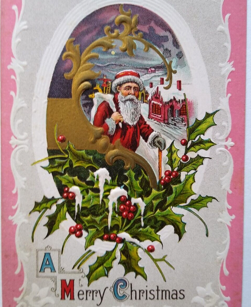 Santa Claus Christmas Postcard Pink Border Lions Head Series 119 Embossed