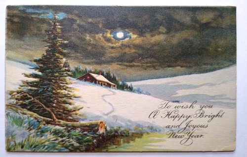 New Year Postcard Night View Moon Light Country Snow Trees 1917 Series 1027