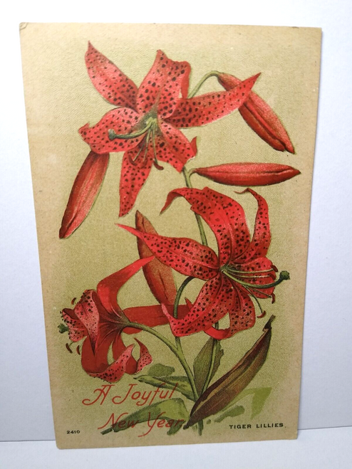 New Years Postcard Greetings Tiger Lillie's Flowers 1910 Vintage Series 2410