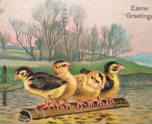 Easter Postcard Fantasy Baby Chicks Floating On Log Water View Lake 1908 Germany