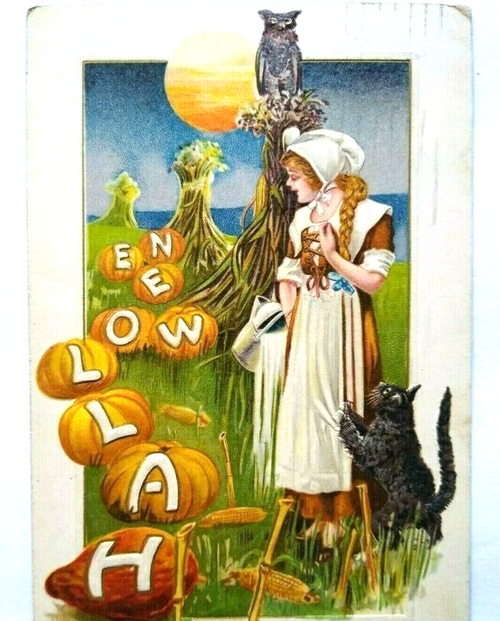 Halloween Postcard Fantasy Pumpkins Black Cat Owl Farmer Sun John Winsch 1913