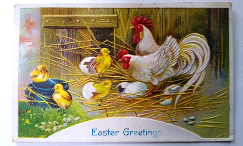 Easter Postcard Barnyard Baby Chicks Roosters Cracked Eggs Series A.C. Embossed