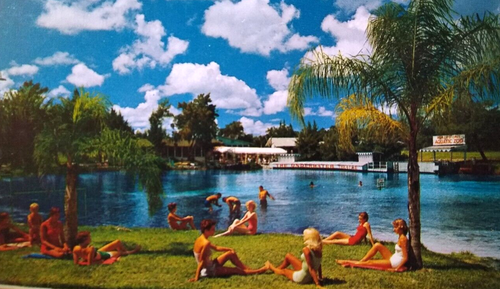 Weeki Wachee Spring Florida Postcard Swimsuit Ladies Underwater Theater Chrome