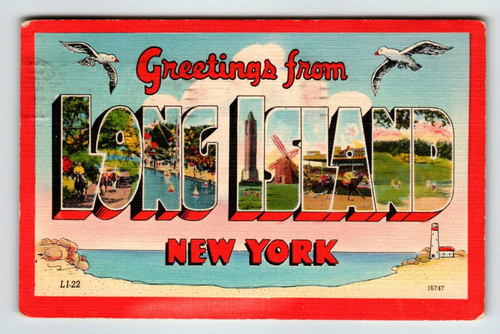 Greetings From Long Island New York Large Letter Linen Postcard Seagulls 1950