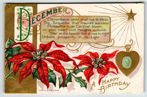 Birthday Flowers Gemstone Postcard December Turquoise Poinsettia Nash 1908 Star