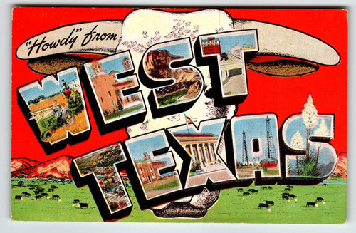 Greetings From West Texas Large Letter Linen Postcard Kropp Unused Bull Skull