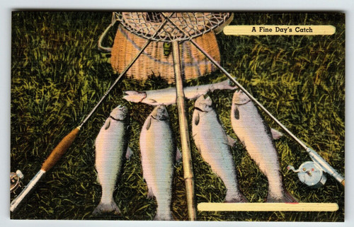 Fishing Linen Postcard A Fine Day's Catch Fish Basket Poles Net Vintage Unused