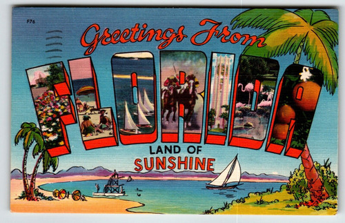Greetings From Florida Large Letter Linen Land Of Sunshine State Postcard 1951