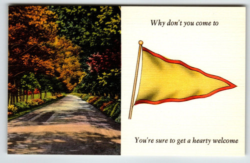 Flag Postcard Why Don't You Come You're Sure To Get A Hearty Welcome Linen NOS