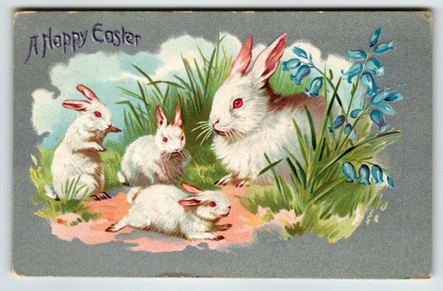 Easter Postcard White Bunny Rabbits Bluebells Flowers Tuck Series 701 Embossed