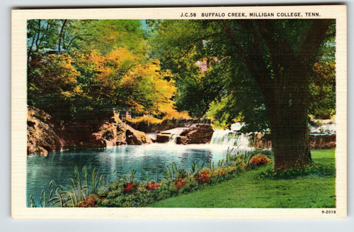 Buffalo Creek Milligan College Tennessee Postcard Linen Unposted Curt Teich