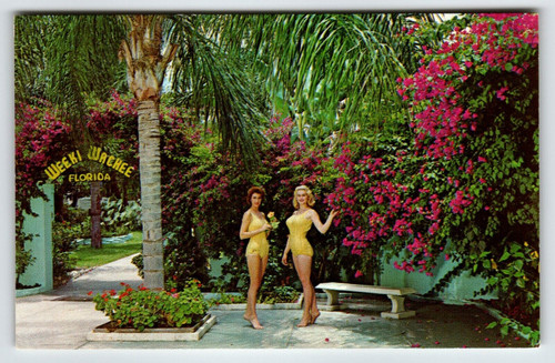 Weeki Wachee Mermaids Florida Postcard Ladies In Swim Suits Garden Patio Unused
