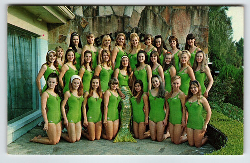 Weeki Wachee Florida Postcard Mermaids Women Pose Outside Chrome Green Swimsuits