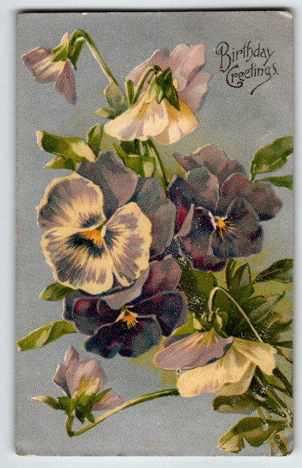 Birthday Flowers Postcard Pansies Violet Purple White John Winsch Back Vintage