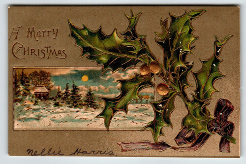 Christmas Postcard Poinsettia Leaves Gold Trimmed Moon Cottage Embossed Germany