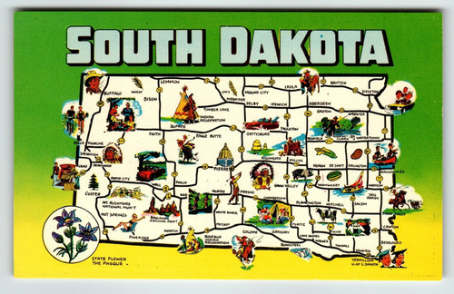 Postcard Greetings From South Dakota Map Chrome State Flower Pasque Unposted