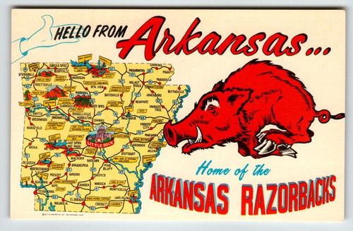 Postcard Greetings From Arkansas Map Chrome Home Of The Razorbacks Hog Unposted