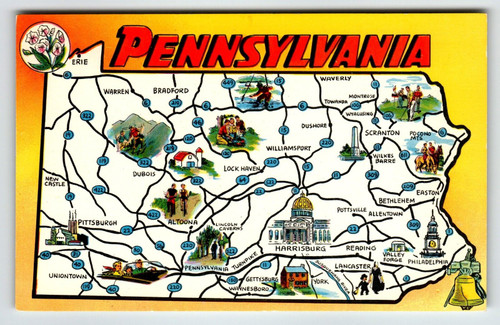Postcard Greetings From Pennsylvania Map Chrome State Flower Mountain-laurel