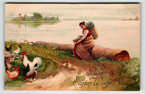 Easter Postcard Rooster Hen Baby Chicks Women Seated On Log Basket Germany 1909