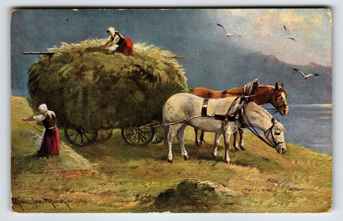 Postcard Signed Muller Rustic Hay Harvest Women Workers Horses Birds Unposted