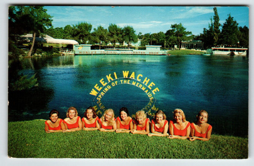 Postcard Weeki Wachee Spring Of The Mermaids Florida Underwater Show Chrome 1959