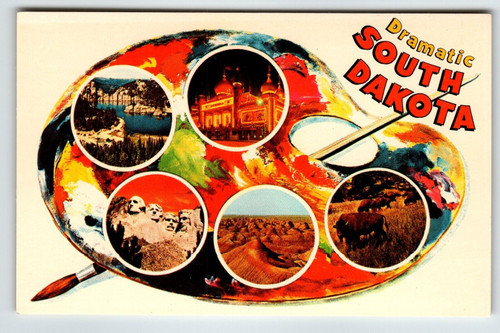 Postcard Greetings From South Dakota Chrome Paint Pallet Paintbrush Dramatic