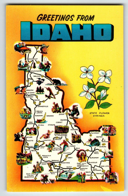 Postcard Greetings From Idaho Map Chrome Syringa State Flower Unused Vintage