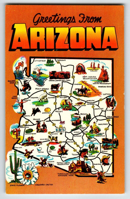 Postcard Greetings From Arizona Map Chrome Saguaro Cactus Flower Unposted
