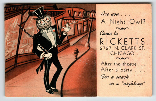Dressed Night Owl Fantasy Postcard Ricketts Bar Pub Chicago Anthropomorphic