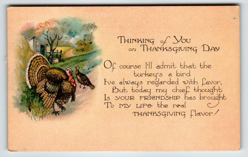 Postcard Thanksgiving Greetings Turkeys Country Rustic Vintage Unposted Serie 17