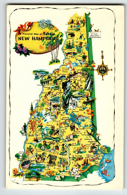 Postcard Greetings From New Hampshire Map Chrome State Ocean Lobster Beach