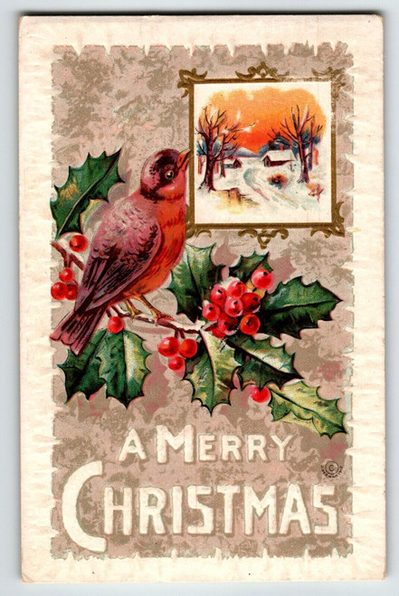 Christmas Postcard Robin Bird Vintage Embossed Poinsettias 1913 Series M 576