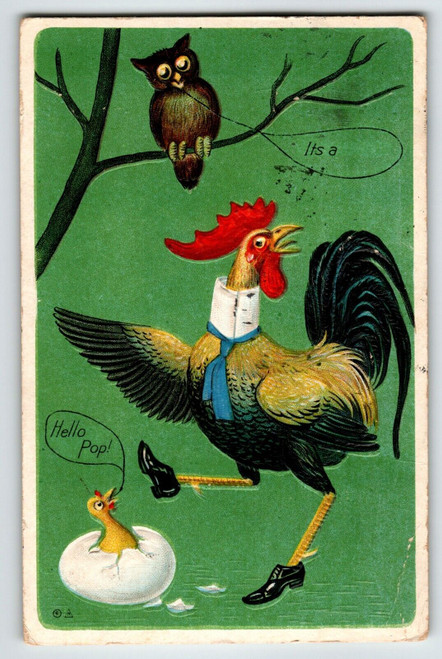 Dressed Rooster Baby In Cracked Egg Owl Nash Fantasy Anthropomorphic 1910 Emboss