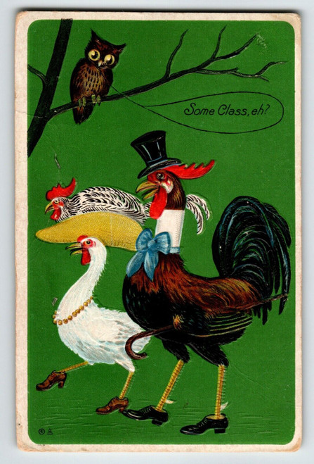 Dressed Rooster Goose In Fancy Hat Owl Nash Fantasy Anthropomorphic 1910 Emboss