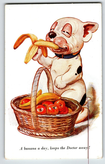 Bonzo Puppy Dog A Banana A Day Postcard Fantasy Anthropomorphic A.R.& Co. 1731