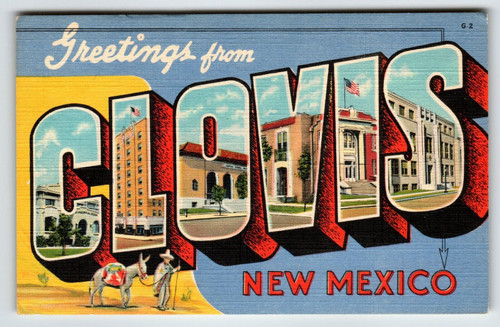 Greetings From Clovis New Mexico Large Letter Postcard Linen Curt Teich Donkey