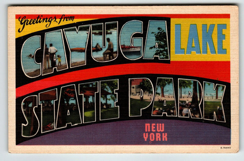 Greetings From Cayuga Lake State Park New York Postcard NY Large Letter Linen