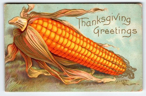 Thanksgiving Postcard Giant Corn Cob Embossed Vintage Holiday Greetings 1910