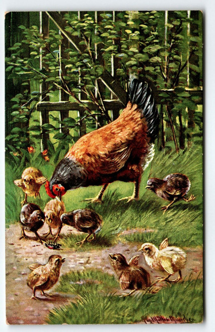 Hen Baby Chicks Outside Fence Signed Muller Germany Rustic Animals Series 442