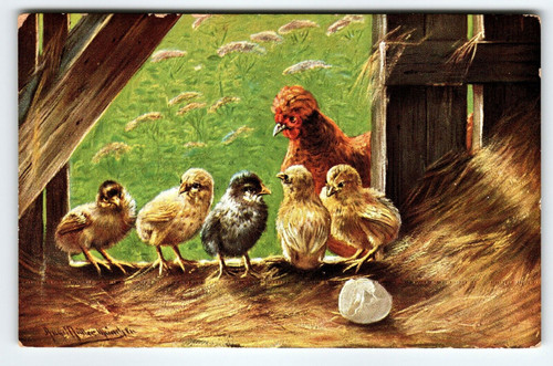 Hen Baby Chicks Cracked Egg Barn Signed Muller Germany Rustic Animals Ser 442